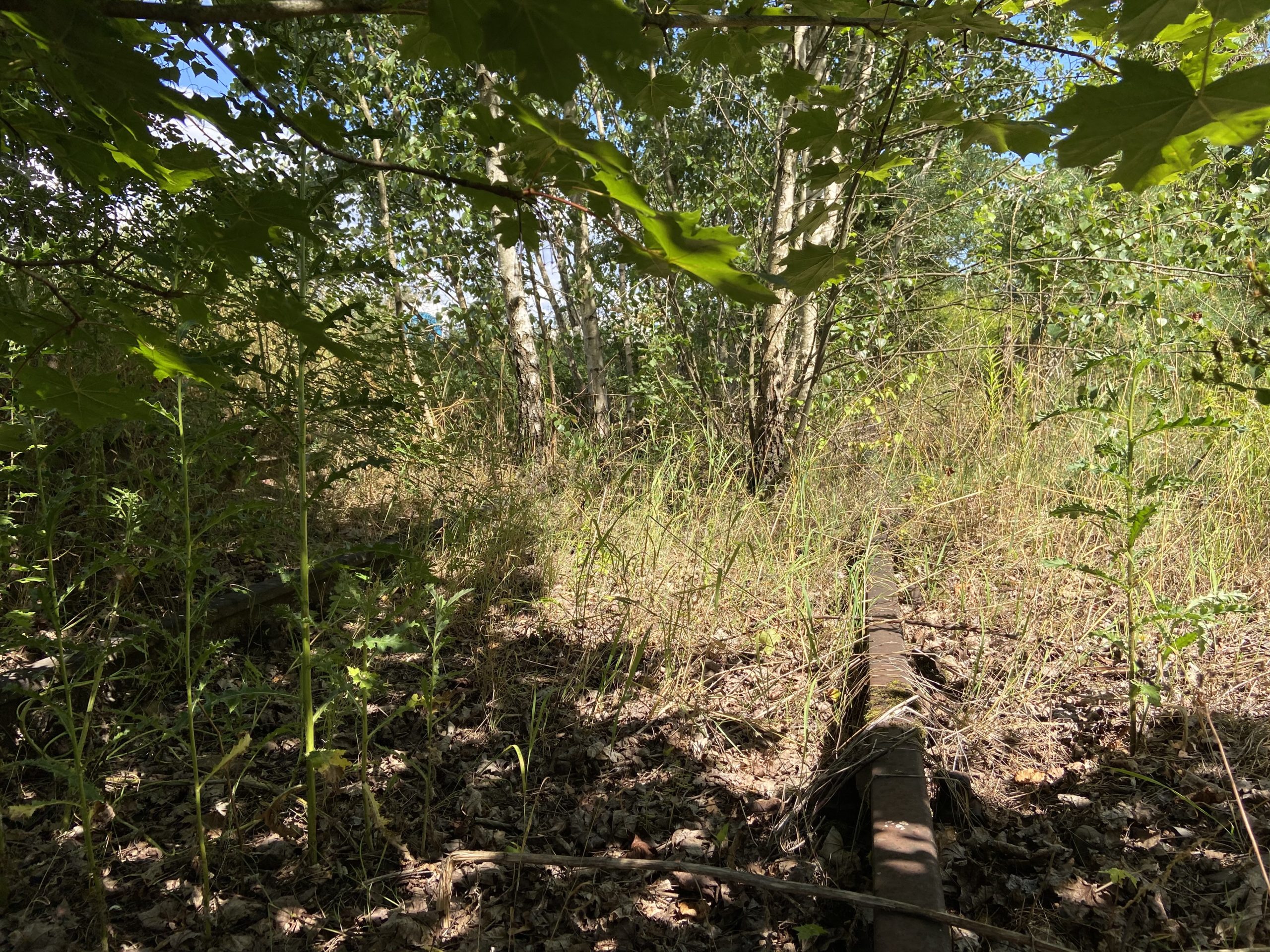 Gleise am ehemaligen KZ-Aussenlager Ellrich des KZ Buchenwald